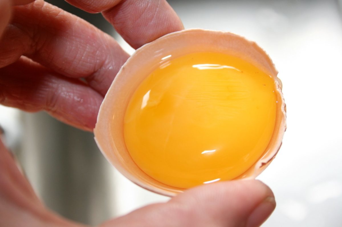 О чем говорит цвет яиц